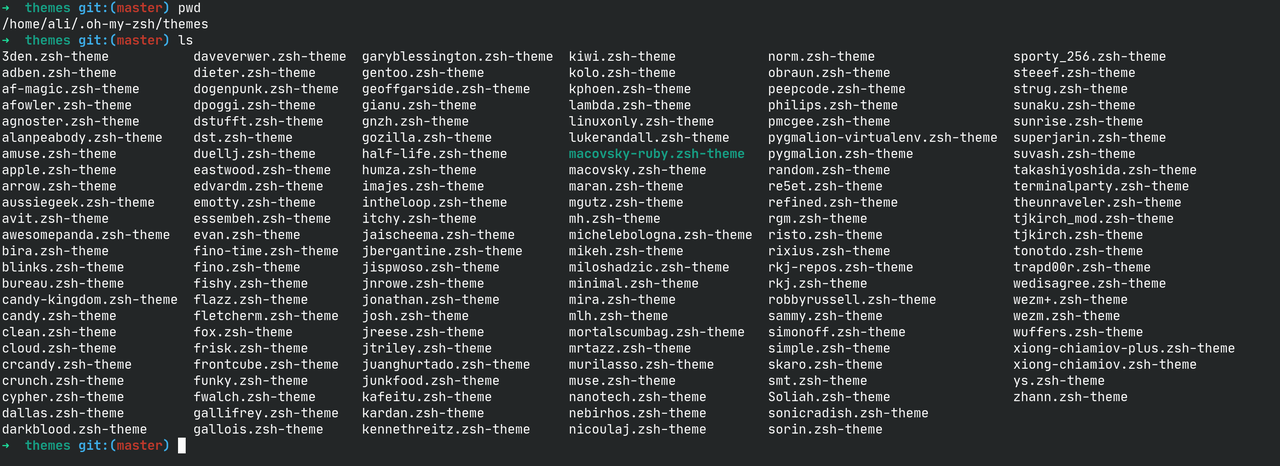 oh_my_zsh_themes